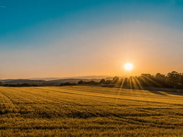 Australian agribusiness operation.