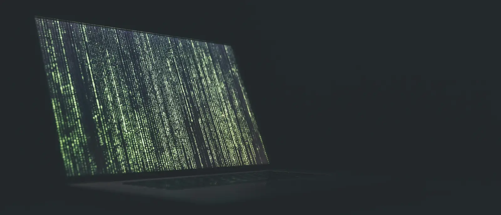 Controlled security testing environment.